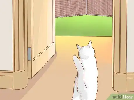 Image titled Get a Litter Trained Cat to "Go" Outside Step 7